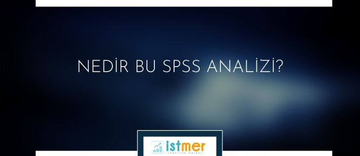 spss analizi