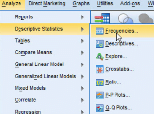 Frekans Analizi Spss Ile Nasil Uygulanir Istmer