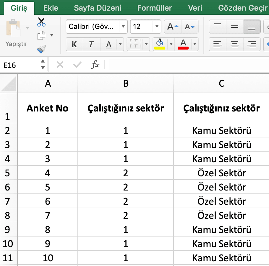 excel anket veri girişi