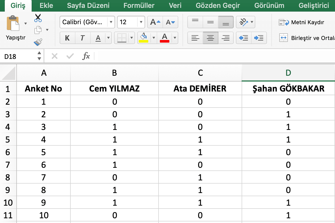 excel anket veri girişi