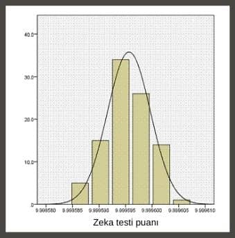 veri görselleştirme spss histogram