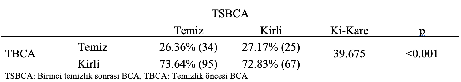 birinci temizlik bca kikare