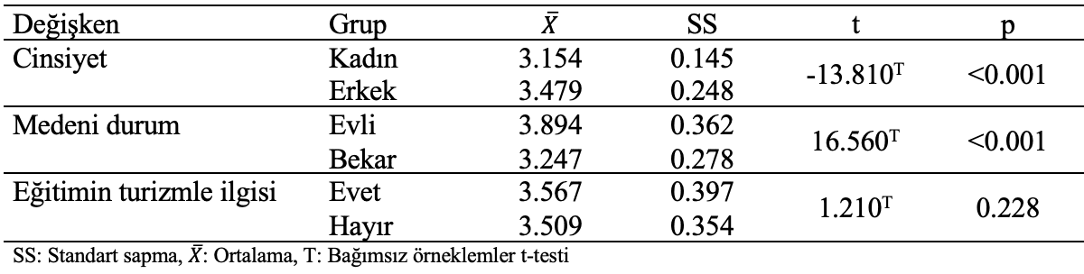 iş tatmini cinsiyet medeni turizm